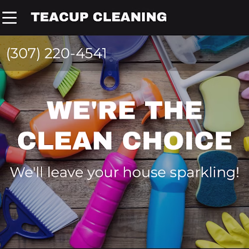274873 teacup cleaning