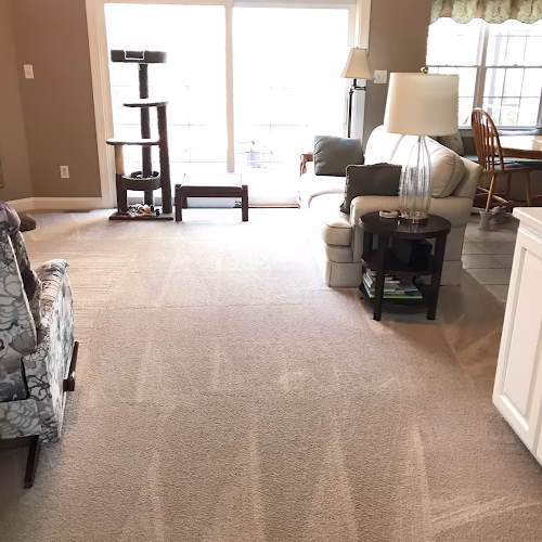 274929 all shine house cleaning