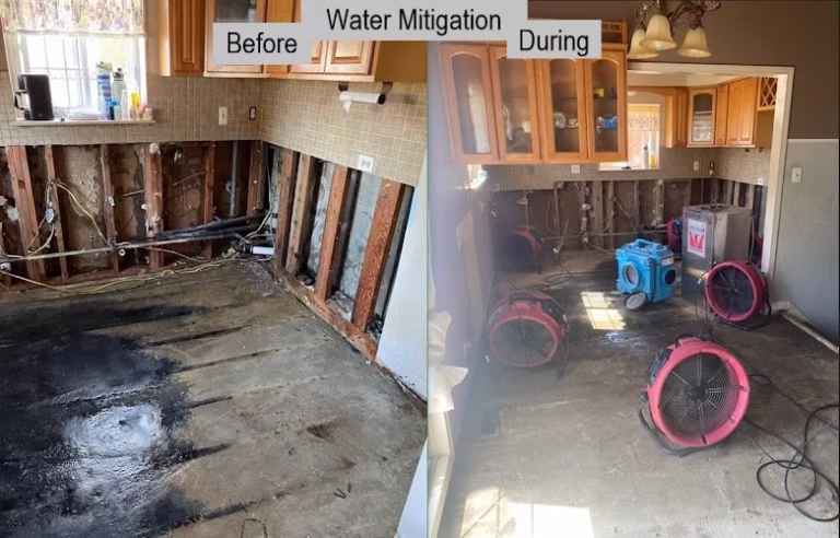 275264 puroclean of waterford township 768x492