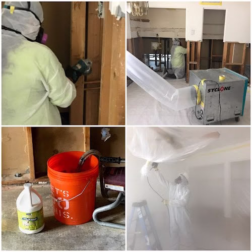 275420 alm services llc