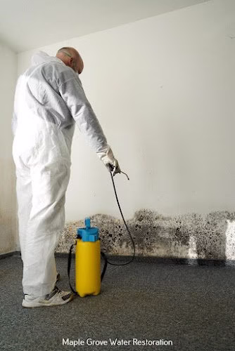 275661 arko restoration