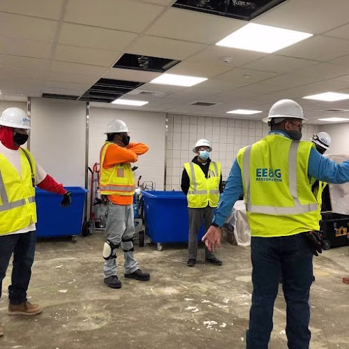 275785 eeg restoration