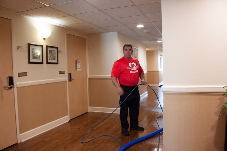 275858 accent american inc