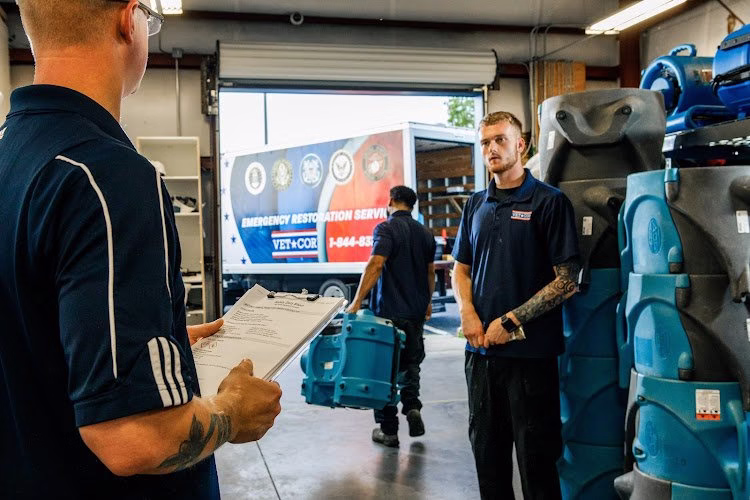 275868 vetcor of tampa