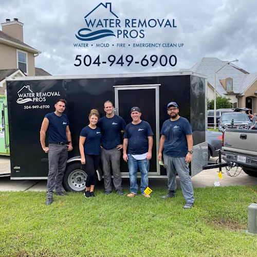 275886 water removal pros