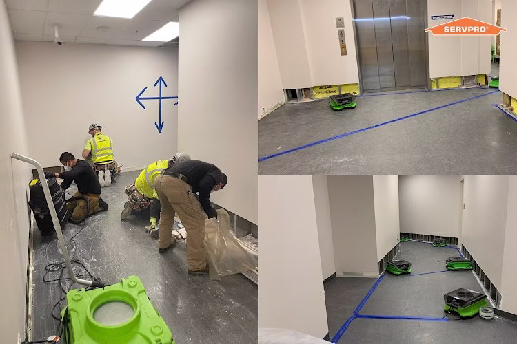 275929 servpro of sw bakersfield