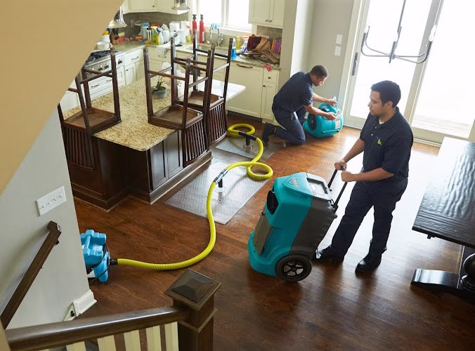 276412 servicemaster by btm