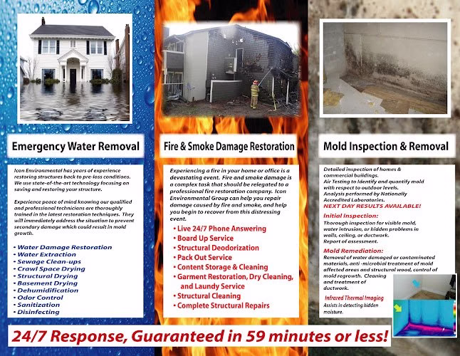 276440 icon environmental