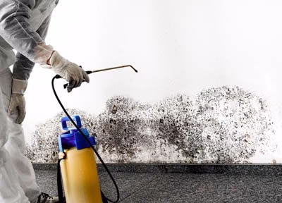 276492 house repair experts llc