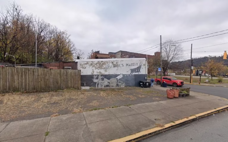 276515 znd cd mold removal mold remediation service braddock pa 768x480