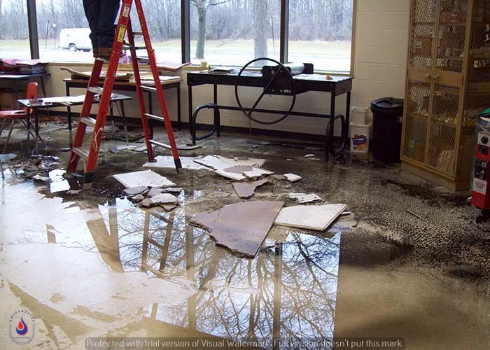 276648 swiftrelief restorations