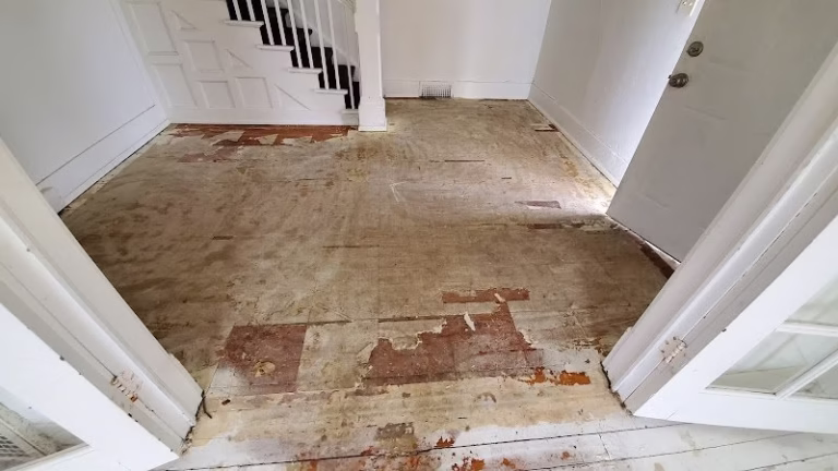 276658 dryhero water mold 768x432