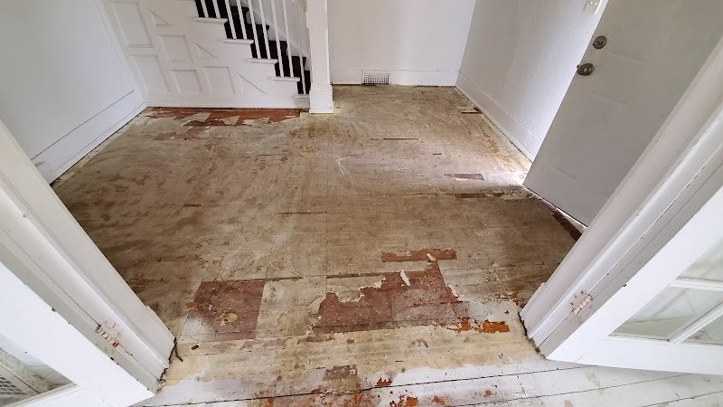 276658 dryhero water mold