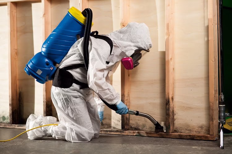 276695 1 800 water damage of north orlando