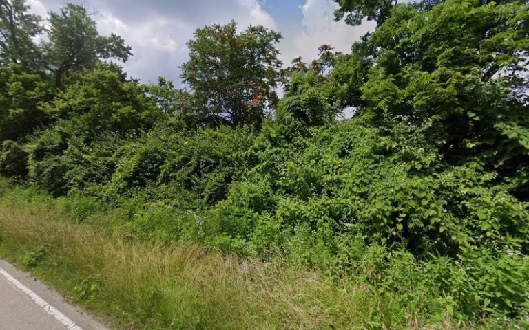 277382 dbs prestress 1 768x480