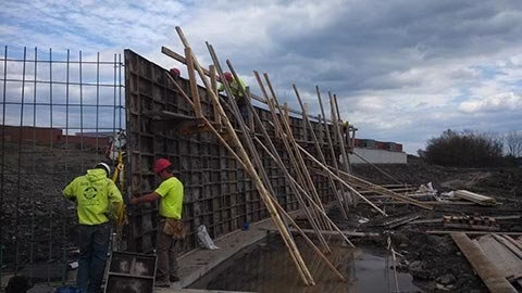 277899 cnt foundations