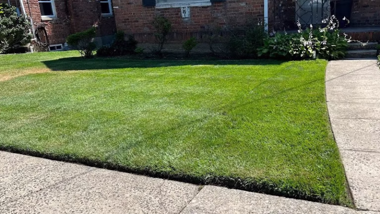 278377 laser lawn care 768x432