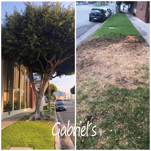 278385 gabriels tree service and landscaping