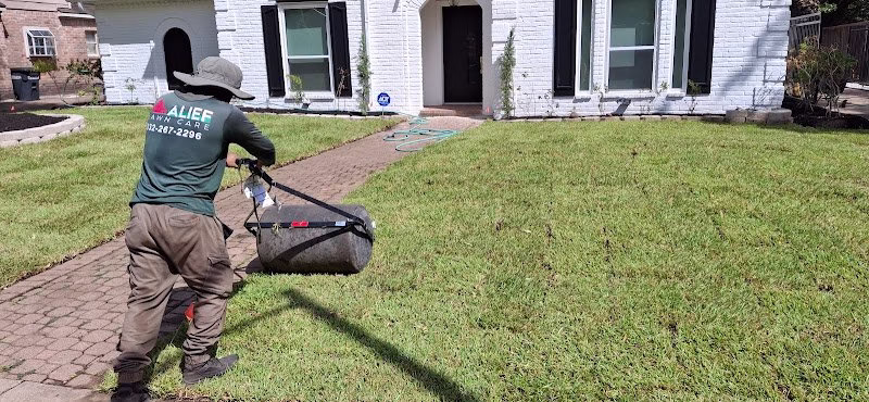 278495 alief lawn care