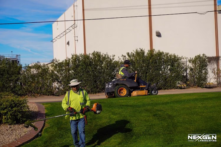 278574 nexgen landscaping