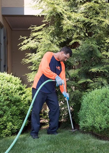 278579 savatree 8211 tree service lawn care