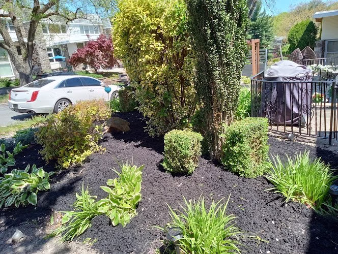 278594 victoria lawn services