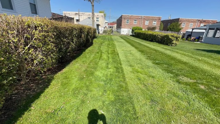 278601 big jays snow removal lawn care llc 768x432