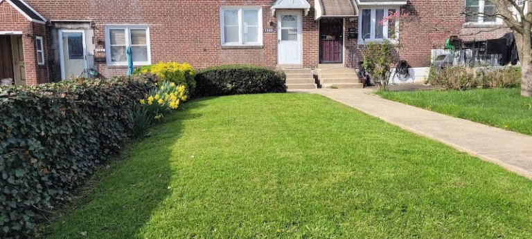 278607 smoke2835 lawn care 768x346