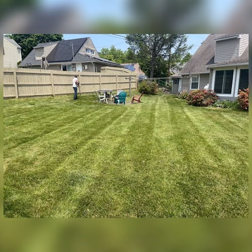 278623 rds total lawn