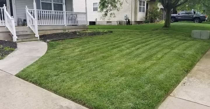 278634 quikscape lawn services