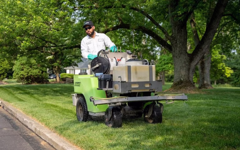 278636 green lawn fertilizing 768x480