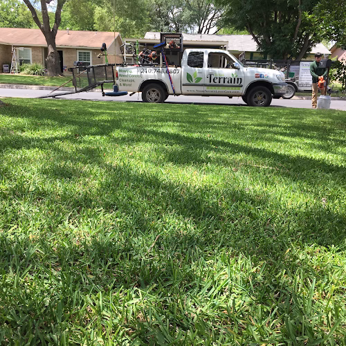 278652 texas terrain lawn care