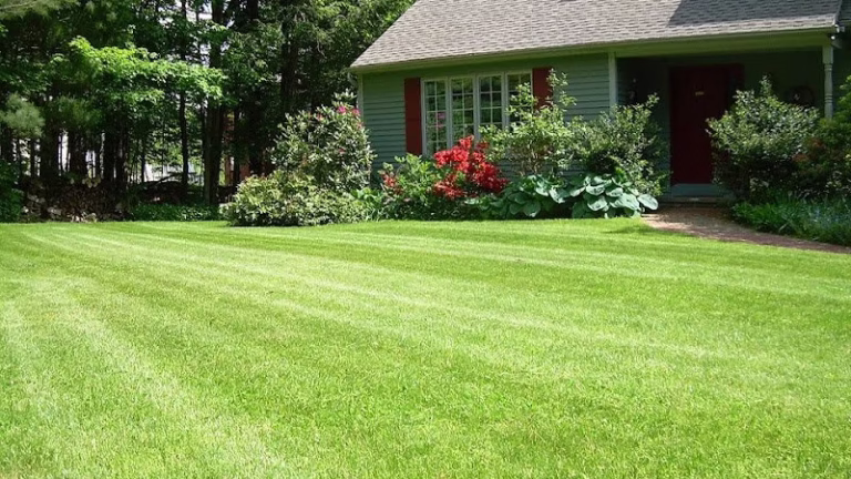 278671 alamo mowing tree care 768x432