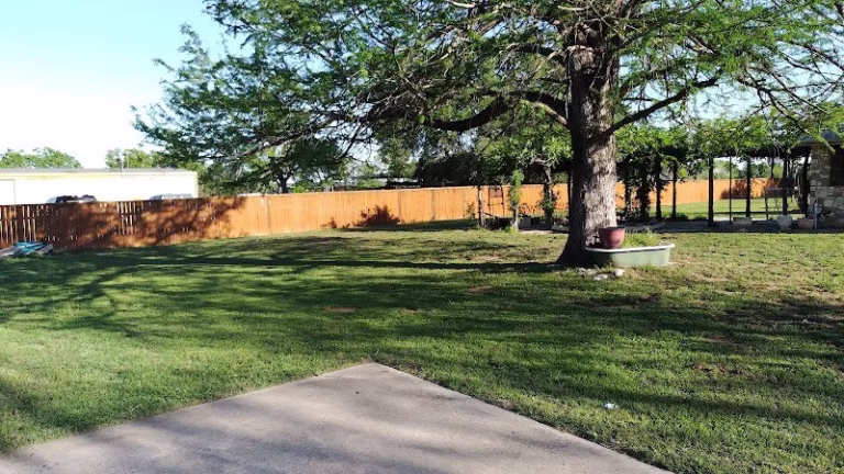 278686 the mean green team 768x432