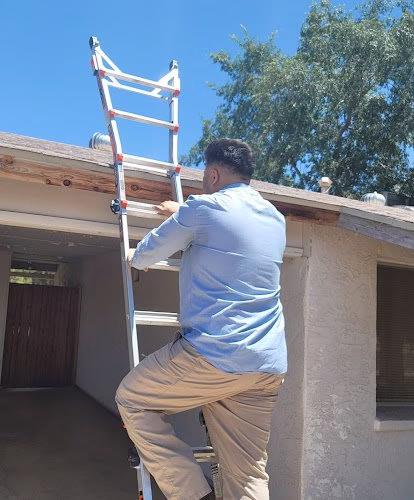 278820 ace home inspection professionals llc