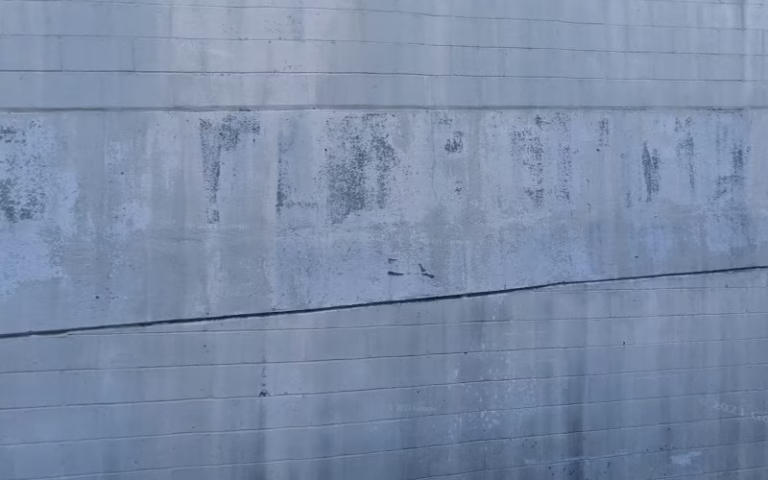 279057 c and l inspection 768x480