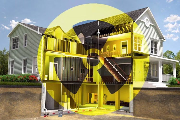 280421 champia real estate inspections