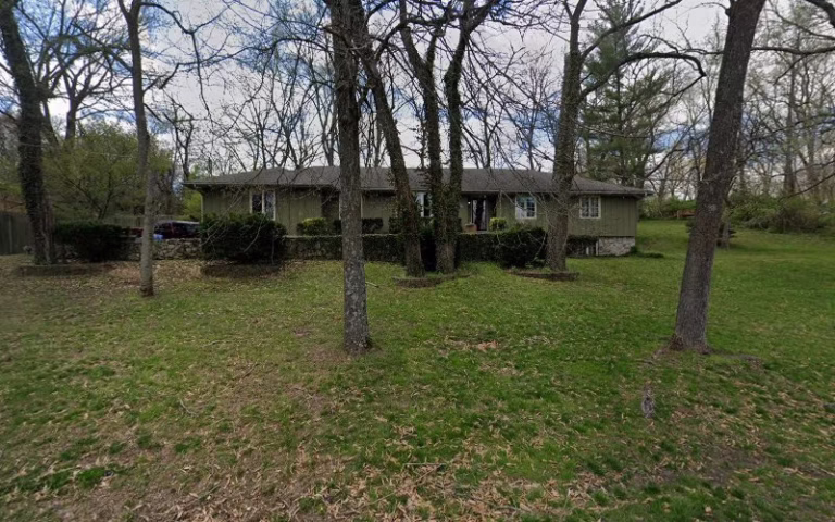 281629 bibble bee floors more 1 768x480