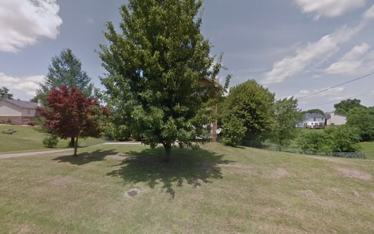 281753 tennessee property solutions 1 768x480