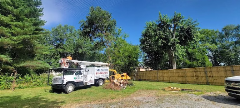 282084 middle tennessee tree service llc 768x346