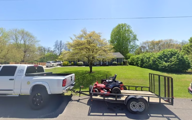 282088 apex tree service 768x480