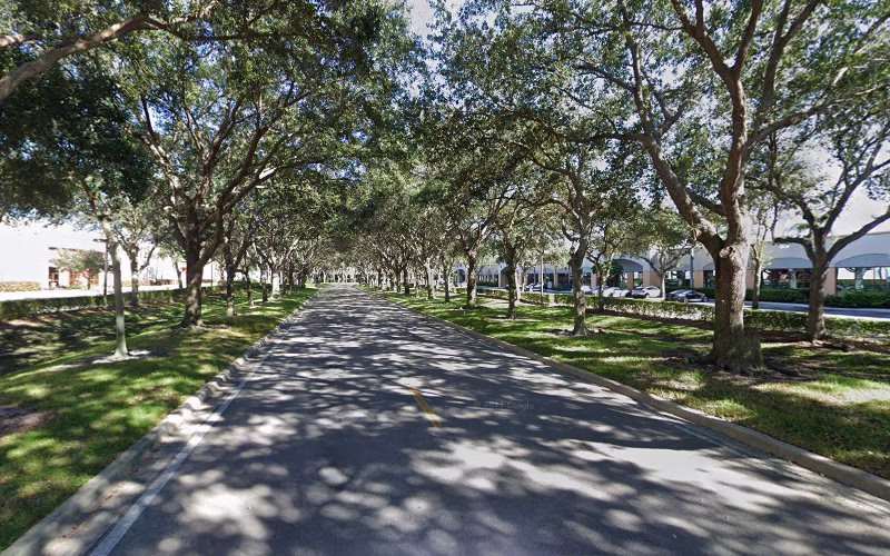 282134 higgins tree dooor service 1