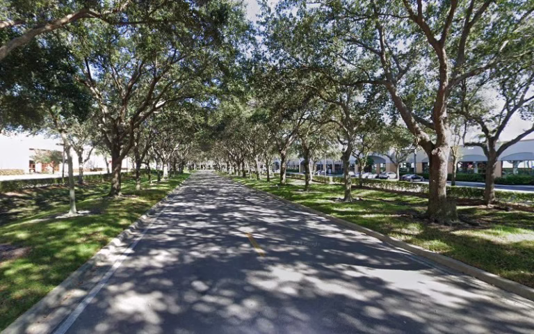 282134 higgins tree dooor service 768x480