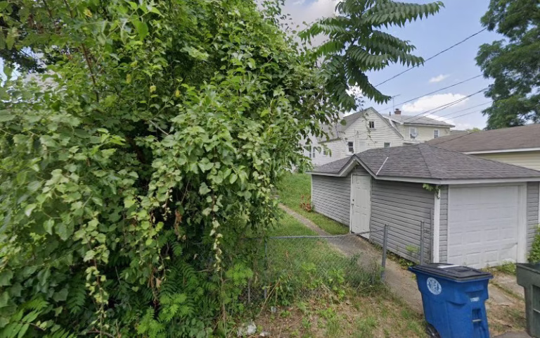 282208 j lees tree landscaping 1 768x480