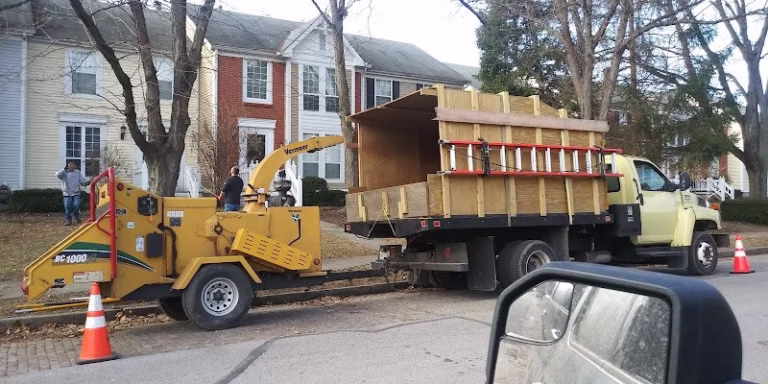 282218 cjs lawn and tree service 768x384