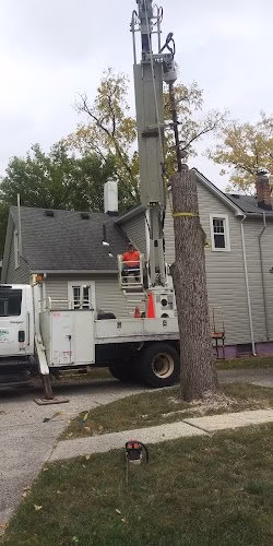 282254 delong forestry landscaping