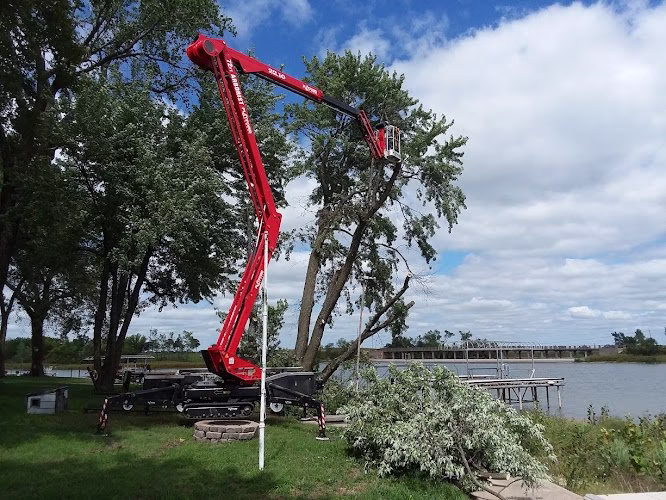 282265 wellnitz tree care