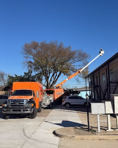 282268 kc tree works llc 1