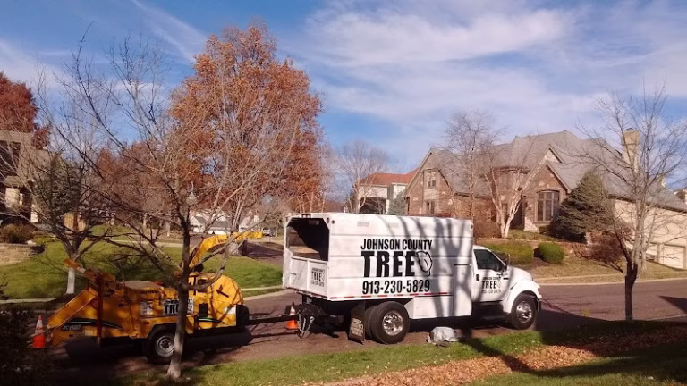 282281 johnson county tree 768x432