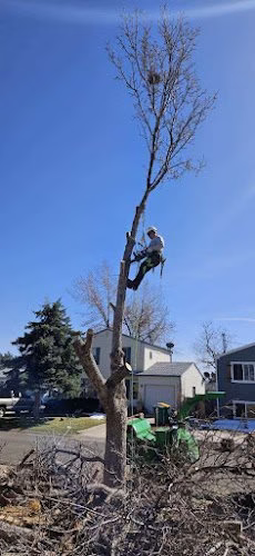 282335 alpenglow tree care